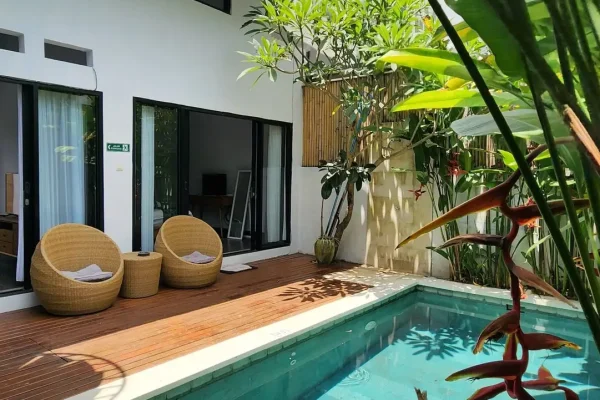 WhatsApp Image 2025-03-14 at 16.46.51 (1)